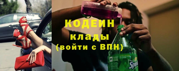 дмт Богородицк