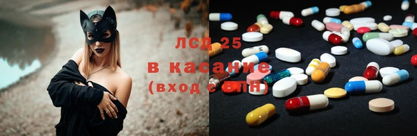 индика Богданович
