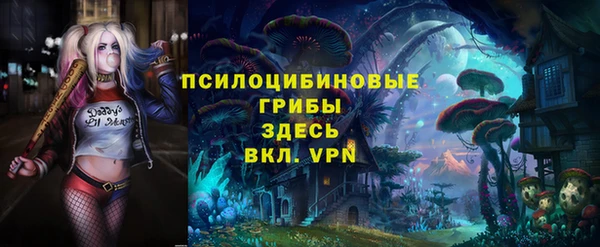 мет Балахна