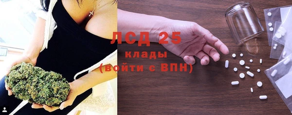ПСИЛОЦИБИНОВЫЕ ГРИБЫ Алзамай