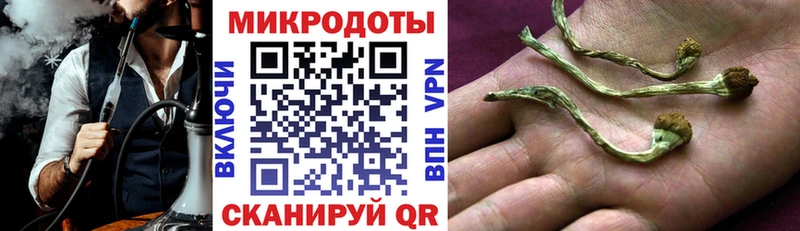 Галлюциногенные грибы ЛСД Грайворон