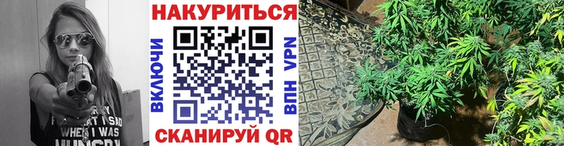сколько стоит  Грайворон  Шишки марихуана MAZAR 
